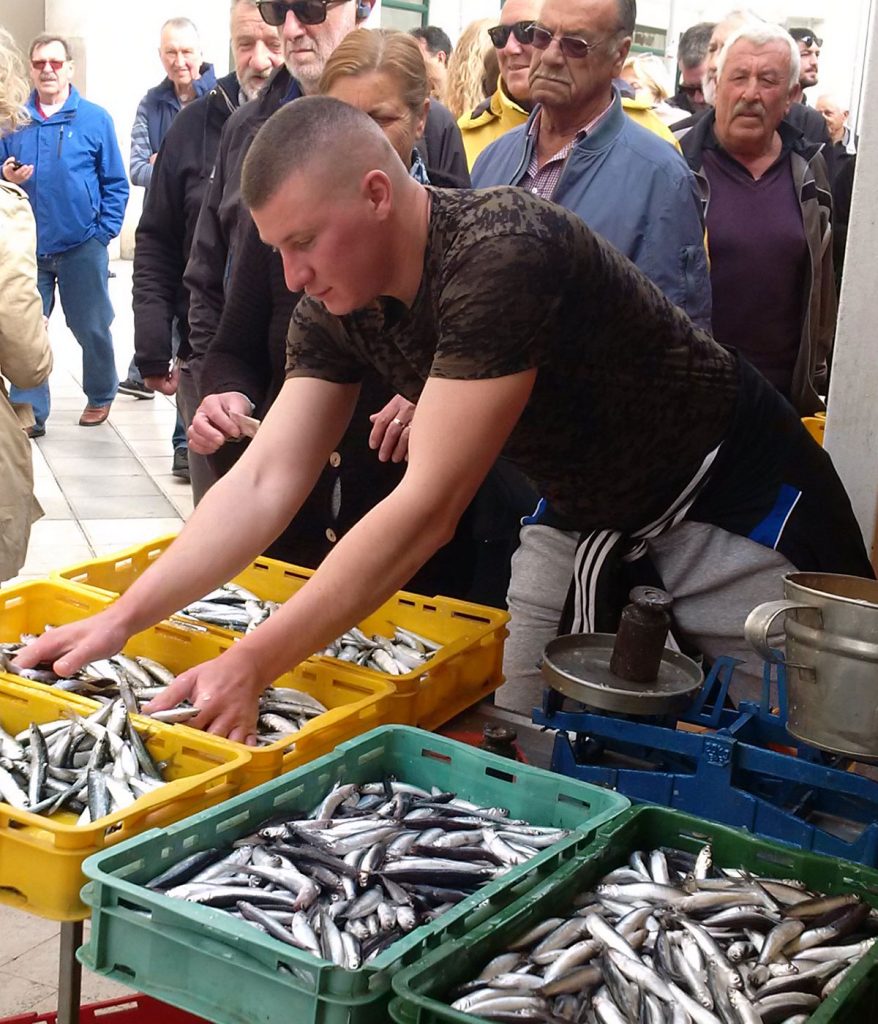 FISH MARKET